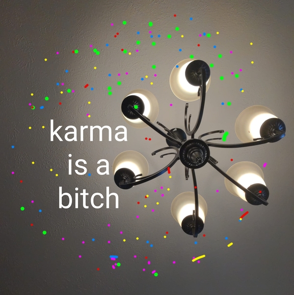 Meet your Posher, Sophie - Picture 1 of 1